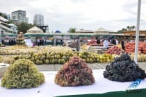 Emomali Rahmon: «Export of fruits and vegetables from Tajikistan to Russia to be increased by 3 times»