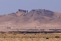 Mass grave of IS victims found in Palmyra