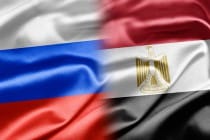 Russian, Egyptian FMs discussed Syria settlement