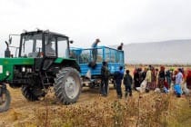 EBRD supports private sector development in Tajikistan