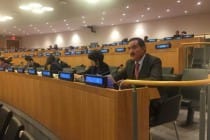 Tajik Permanent Representative underlined the necessity to strengthen the cooperation on risks reduction and mitigation of consequences of natural disasters, with the United Nations as a coordinating center