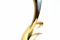 NOC of Tajikistan receives award for Olympic “gold” of Dilshod Nazarov