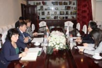Tajikistan, Japan discuss issues to fight against negative phenomena