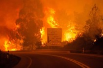 Death toll in Portugal forest fires rises to 62