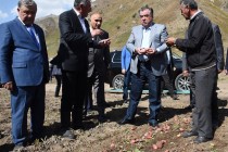 Leader of the Nation Emomali Rahmon became familiar with the condition of agricultural works in Kanask locality of the rural jamoat Romit of Vahdat city