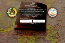Main Consular Department of the Ministry of Foreign Affairs of the Republic of Tajikistan launched its official website