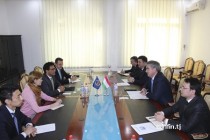 Tajikistan and Asian Development Bank discussed prospects for cooperation in the energy sector