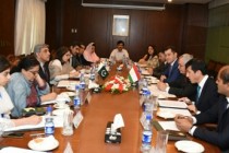 Political consultations rounded up between Tajikistan and Pakistan