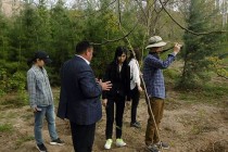 Delegation of Korea Forest Service (KFS) visited Tajikistan