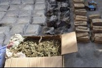 SCNS RT: an active member of an organized criminal group was detained with 100 kg of drugs