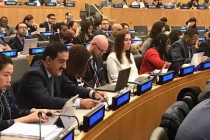 Introduction of the draft resolution on the Midterm comprehensive review of the implementation of the International Decade of Action Water for Sustainable Development, 2018-2028
