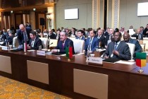 Tajik Delegation Attended the Meeting of the OIC Council of Foreign Ministers