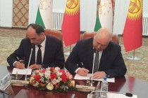 Meeting of Tajik-Kyrgyz Governmental Delegations on Border Delimitation and Demarcation Held in Dushanbe