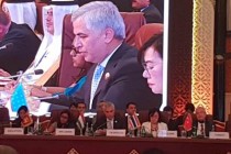 Tajikistan Attended the Asia Cooperation Dialogue Ministerial Meeting