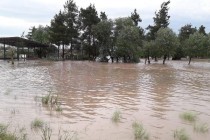 Mudslides in the Forecast as Multiple Districts of Tajikistan Experience Flooding