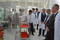 New Medicinal Herbs Processing Enterprise Opens in Dushanbe