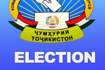 Elections Commission Registers 36 International Observers