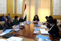 Deputy PM Ismatullozoda Holds Meeting on Comprehensive Services for Mother and Child Project