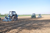 Khatlon Farms Increase Cultivation of Grain Crops, Vegetables and Melons