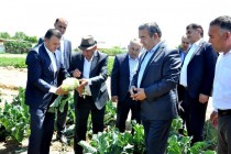 PM Rasulzoda Examines Farms Activities in Dusti District