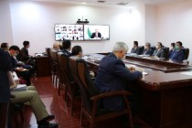 FM Muhriddin Holds Virtual Meeting with Tajik Embassies and Consulates