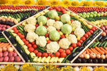 Khatlon Region’s Agricultural Exports Exceed Past Indicators