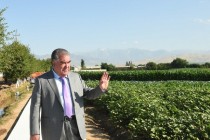 President Emomali Rahmon Made a Working Trips to Hisor and Rudaki