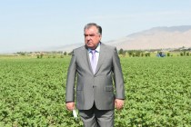 Continuation of President Emomali Rahmon’s Working Visit in Sughd Province