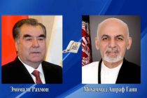 President Emomali Rahmon Held a Telephone Conversation with His Afghan Counterpart