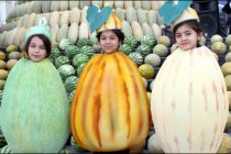 Pumpkin, Melon and Watermelon Holidays Will Take Place at the Mehrgon Market Tomorrow