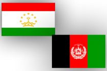 Tajikistan and Afghanistan Strengthen Security Cooperation