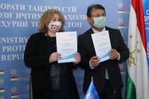 Tajikistan and WHO/Europe Sign Two-Year Cooperation Agreement