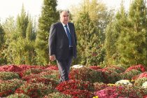 President Emomali Rahmon Attends Mehrgon Holiday in Sughd