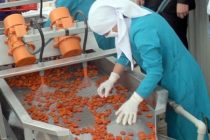 Tajikistan Agro Exports Increase by 41.7%
