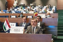 Deputy FM Huseinzoda Attends OIC Ministerial Council Session