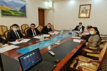 Ministry of Finance Reviews Projects Implemented by the Eurasian Fund for Stabilization and Development
