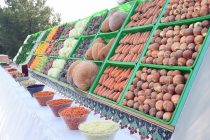 Khatlon’s Volume of Gross Agricultural Production Sees an Increase