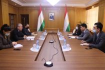 Tajikistan and JICA Discuss Training Specialists in Socio-Economic Spheres