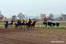 National Wrestling and Horse Racing Dedicated to Navruz Holiday Will Taken Place in Dushanbe