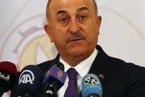 Çavuşoğlu: Turkey and Tajikistan Have Good Economic and Political Cooperation