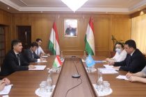 Minister of Economic Development Meets UN FAO Representative in Tajikistan