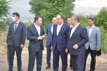 Prime Minister Rasulzoda Visits Areas Impacted by Natural Disaster