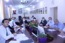 Tajik and Chinese Health Professionals Exchange Experience in COVID-19 Diagnosis and Treatment