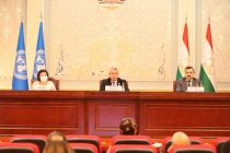 UN Sustainable Development Cooperation Framework Roadmap Presented in Dushanbe