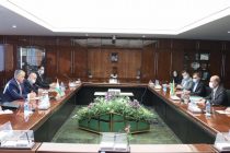 Tajikistan and Iran Note the Need to Increase Cooperation in the Implementation of Joint Projects