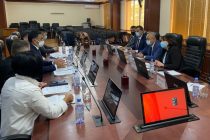 Tajikistan and Kazakhstan Discuss Oil Products and Liquefied Natural Gas Supplies