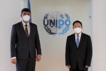 Deputy Foreign Minister Meets UNIDO Director General