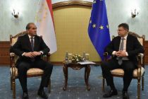 Deputy Prime Minister Meets with the Executive Vice-President of the European Commission