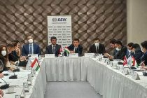 Tajik Delegation Invites Turkish Business Circles to Cooperation