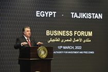 President Emomali Rahmon held a meeting with Egyptian Businessmen